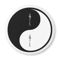 Yin Yang Chiropractic Refrigerator Magnets