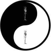 Yin Yang Chiropractic photo sculptures