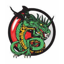 Yin Yang Dragon t-shirts