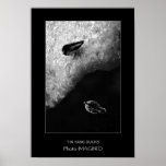 YIN YANG DUCKS POSTERS