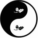 Yin Yang Ecology photo sculptures by whatitis Yin Yang Ecology photo sculptures
