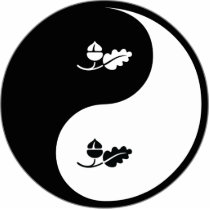 Yin Yang Ecology photo sculptures by whatitis Yin Yang Ecology photo sculptures