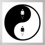 Yin Yang Flying posters