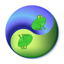 Yin Yang Frog magnets
