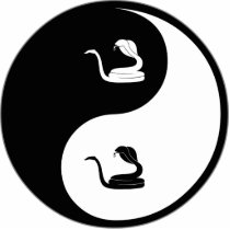 Yin Yang Herpetology photo sculptures by whatitis Yin Yang Herpetology photo sculptures