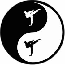 Yin Yang Karate photo sculptures