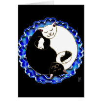 yin yang kittens cards
