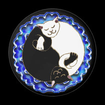 yin yang kittens magnet