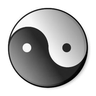 Yin-Yang Magnet magnet