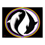 Yin Yang