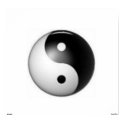Yin & Yang Poster posters