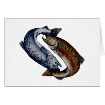 Yin Yang Salmon Fish Cards