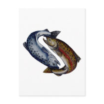 Yin Yang Salmon Fish Postcards