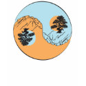 YIN YANG t-shirts