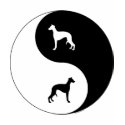 Yin Yang Whippet t-shirts