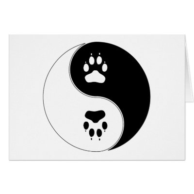 yin yang paw