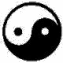 Ying & Yang t-shirts