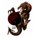 YingYang Dragon Long sleeve Shirt by JamesCreations YingYang Dragon Long sleeve Shirt