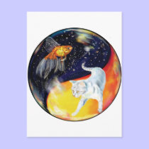 YinYang Fish and Cat - Colour Postcard postcards