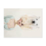 yips beargirl post card