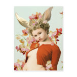 yips donkeygirl post card