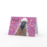 YO!