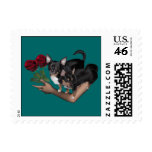 YO franqueo de los rosas de la chihuahua del ángel