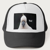 Yo! hats
