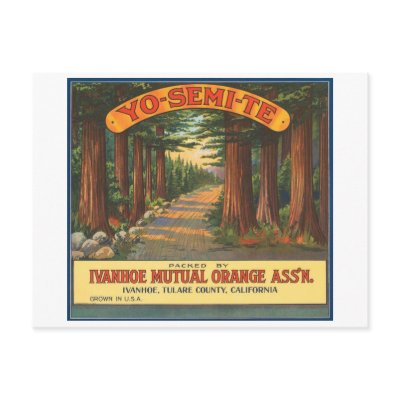 YO-SEMI-TE Vintage Fruit Crate Label Postcard by vintagegiftmall