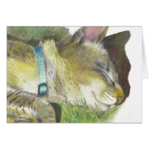 Yoda's Summer Nap cards