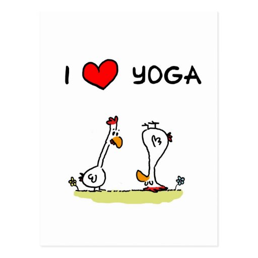 Yoga chickens postcard