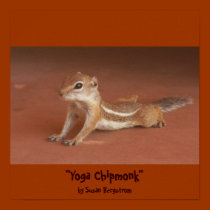 "Yoga Chipmonk" by Susan Bergstrom posters