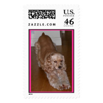 Yoga dog postage