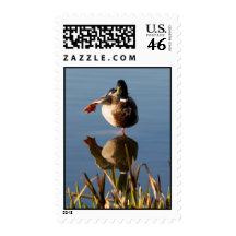 Yoga duck postage stamp