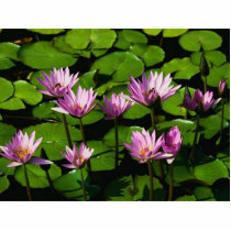 yoga statue photo sculptures by gymnast97 yoga statue photo sculptures