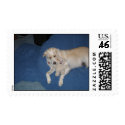 Yogi and baby postage