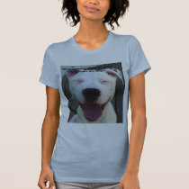 YogiTeeHeeTshirt, You're breeding MORE pit bull...