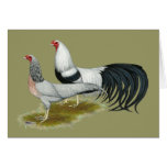 Yokohama:  Silver Duckwing Pair Card
