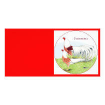 Yokohamas: Red-shoulder Pair photo cards by diane_jacky Yokohamas: Red-shoulder Pair photo cards