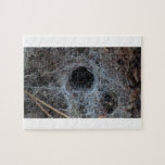Yolly Bolly California Insects Arachnid Bug Fauna Jigsaw Puzzle