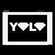 YOLO skins