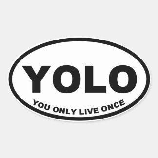 yolo_you_only_live_once_oval_sticker-rdfa8cba117b14670833127a878260291_v9wz7_8byvr_324.jpg