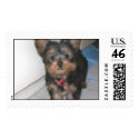 york_ postage by barbiesuks york_ postage