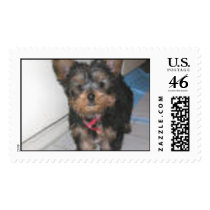 york_ postage