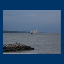York River posters