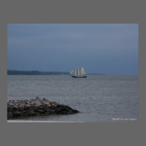 York River posters