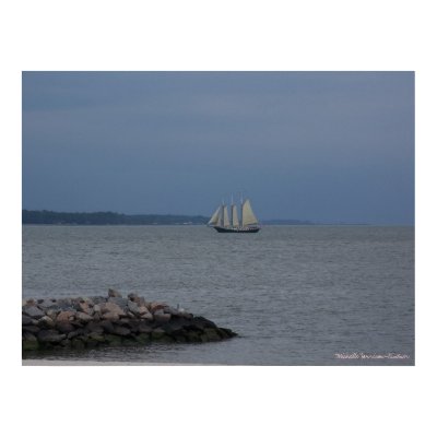 York River Poster by mlkintner