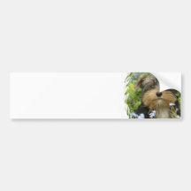 York Terrier Bumper Sticker