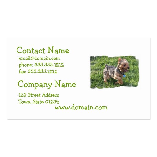 York Terrier Dog Business Card