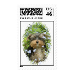 York Terrier Dog Postage Stamp